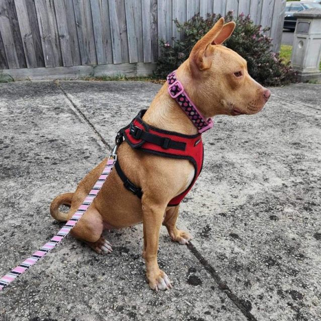 Photo of Thumbelina