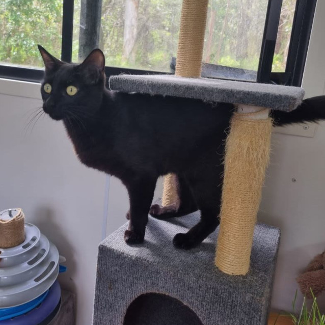 Photo of Peanut