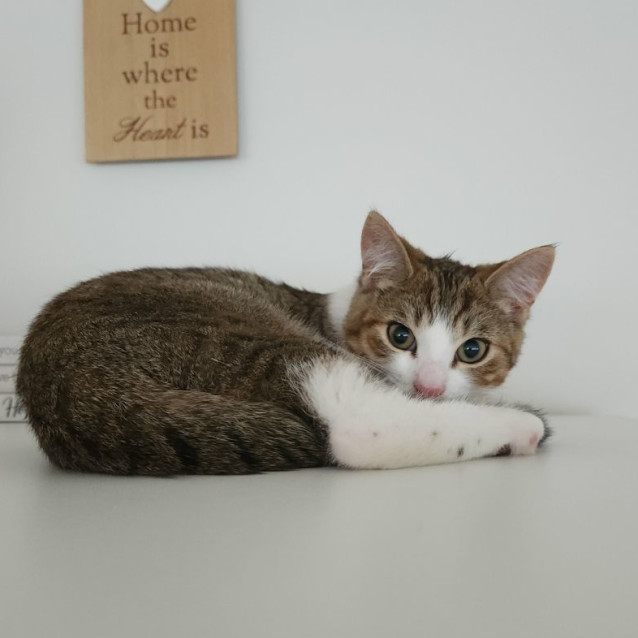 Photo of Squish And Shadow