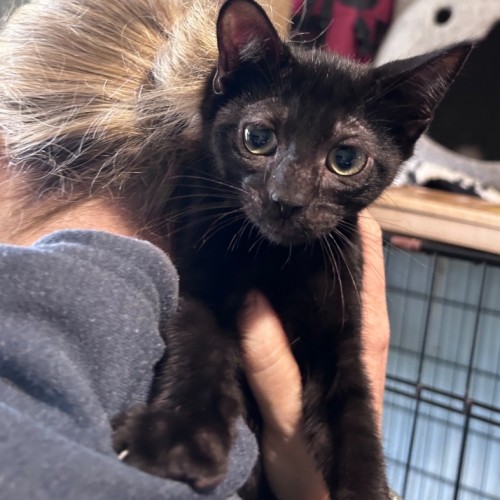 No photo for Ashton 🖤