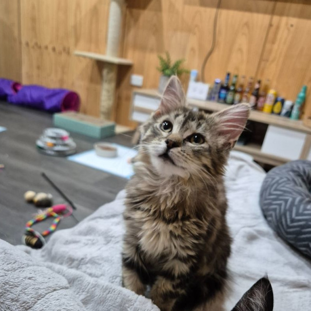 Photo of Mimi