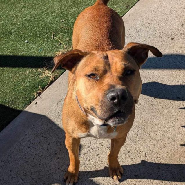 Photo of Xena