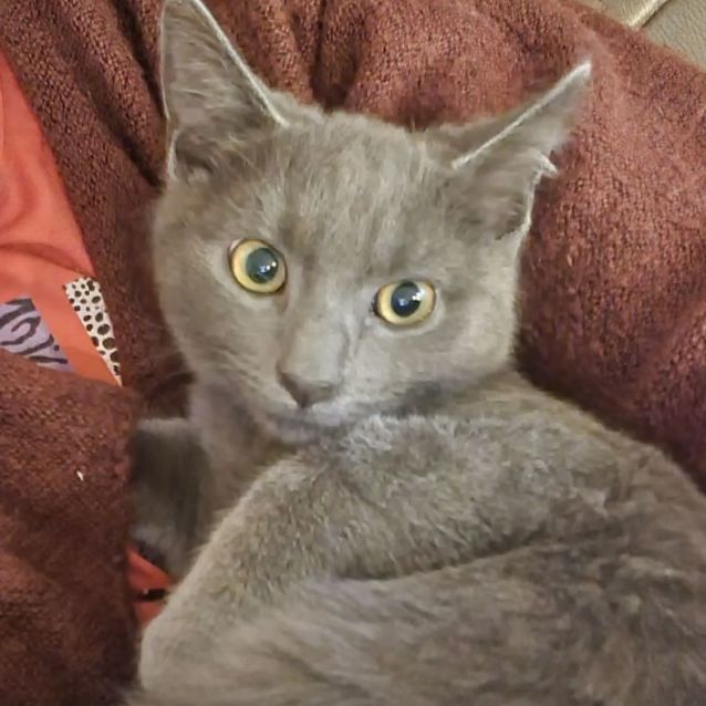 Photo of 💙 Einstein 💙