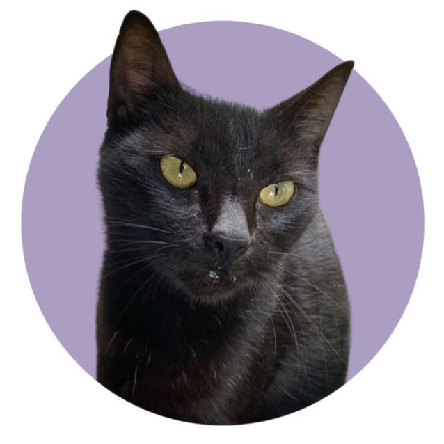 Photo of Sabrina Spellman