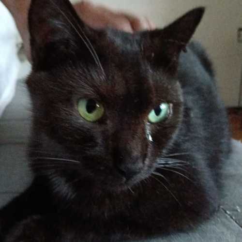 No photo for Cookies 🍪