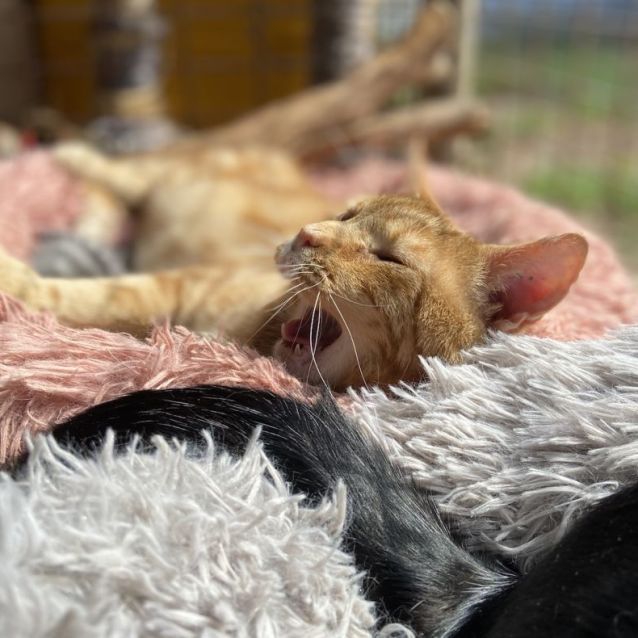 Photo of Gary   Your Best Friend 