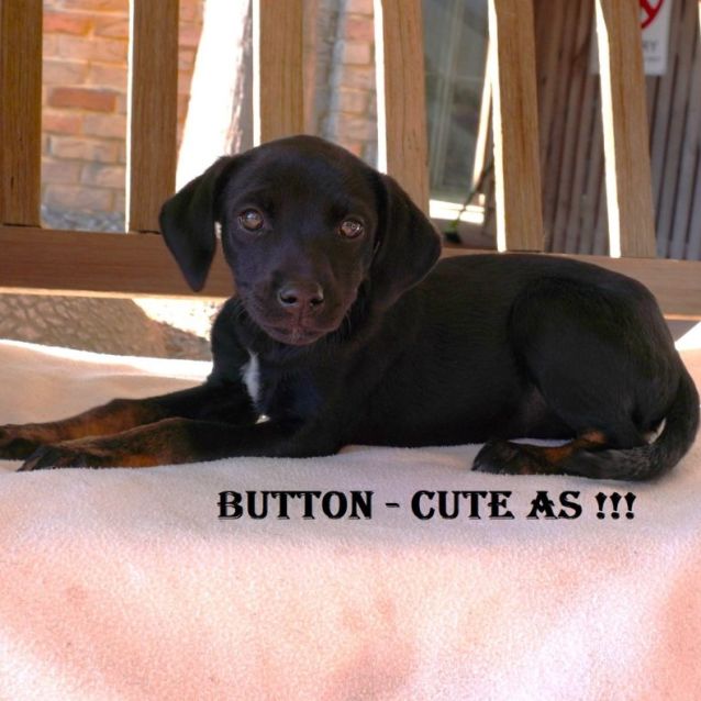 Photo of Button