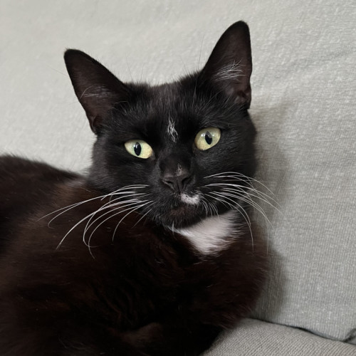 No photo for Betty