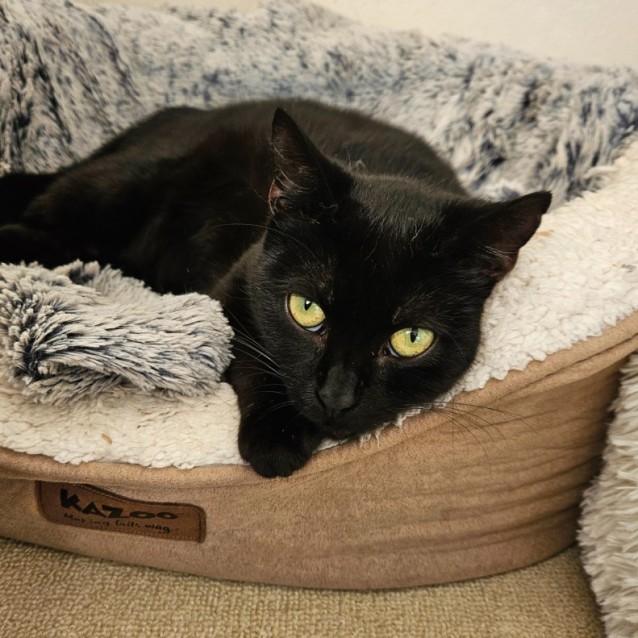 Photo of Luna