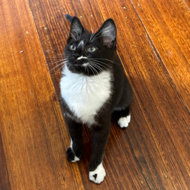 Photo of 💙 Billy 💙