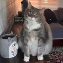 Photo of Scott   Located In Brunswick West