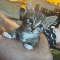 Photo of Zaida