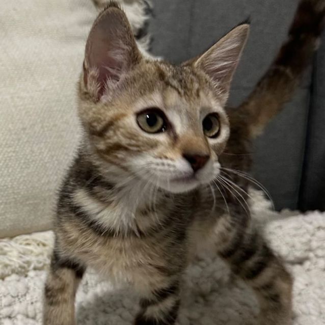 Photo of Elsie 🦋💕