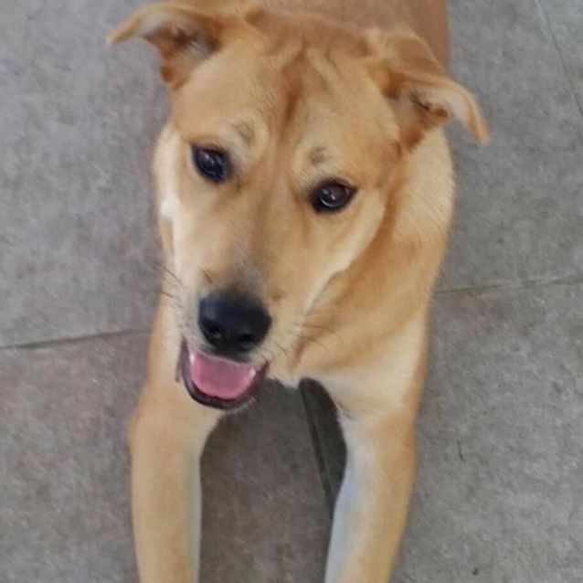 Photo of Lucy