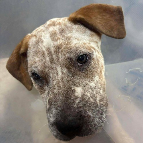 No photo for Felicity