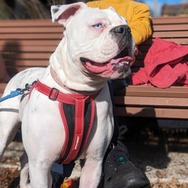 Photo of Stella 💎