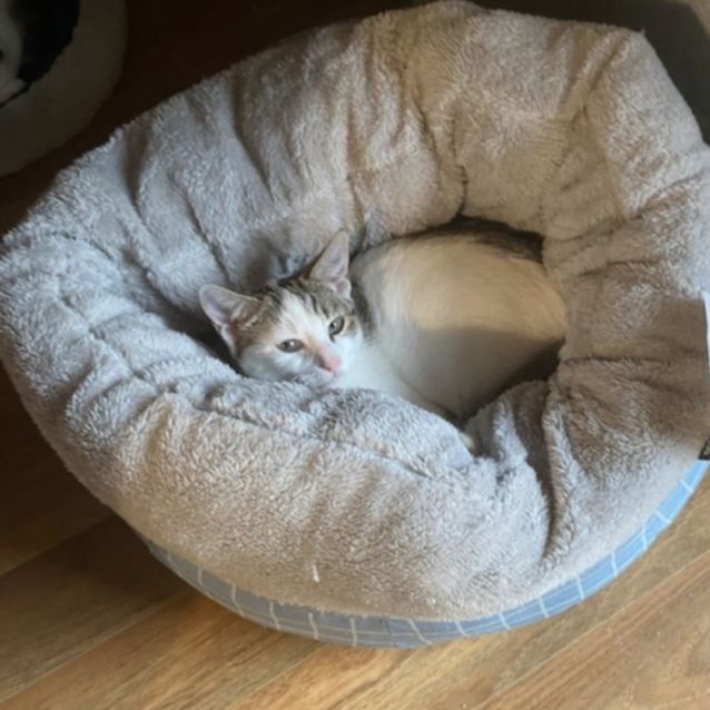 Photo of Holly & Hope 