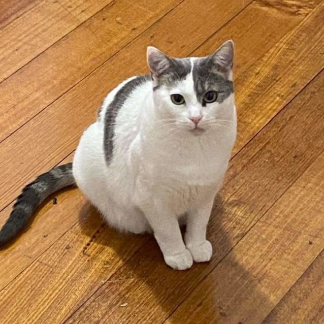 Photo of Bella & Kevin 💕