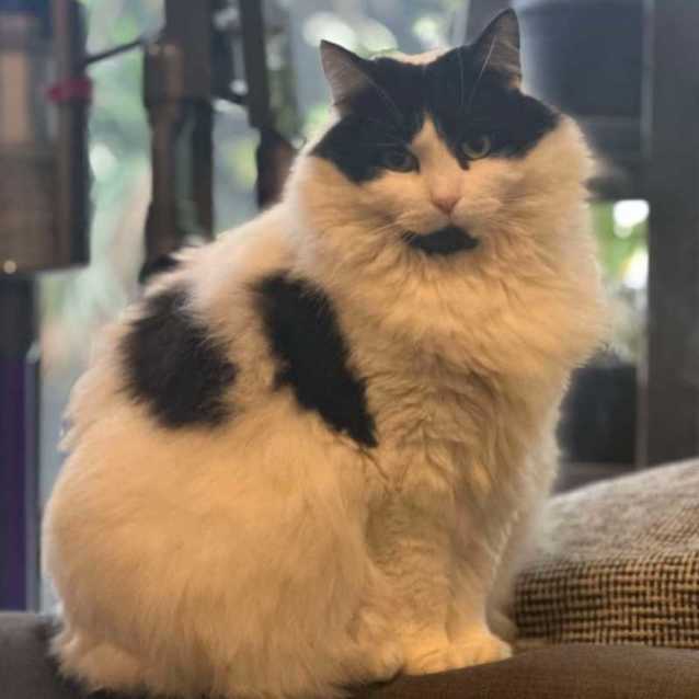 Photo of 🐭Schnooki 🐭