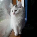 Photo of Freia