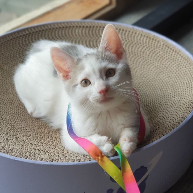 Photo of Pavlo 🌈