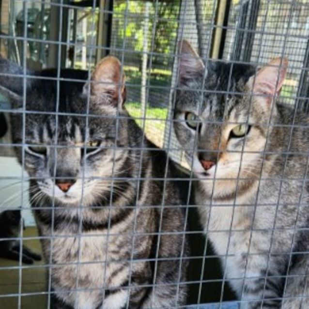 Photo of Gentle, Loving, Mature Brothers 💚💙