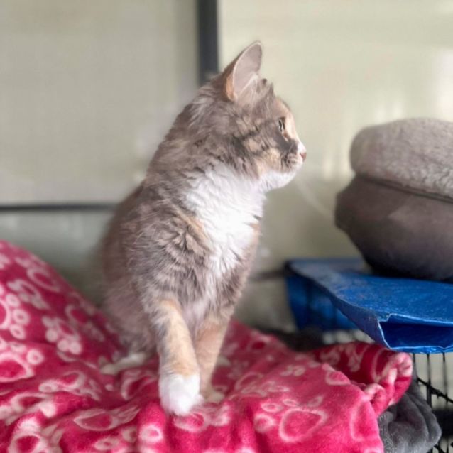 Photo of Gigi