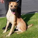 Photo of Shilo