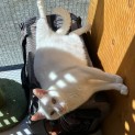 Photo of Bidgy