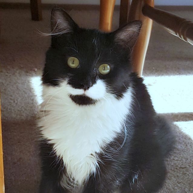 Photo of 🙈Calypso Bean🙈