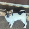 Photo of Jock Dara