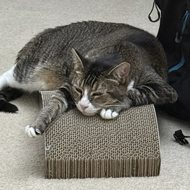 Photo of Kit Kat