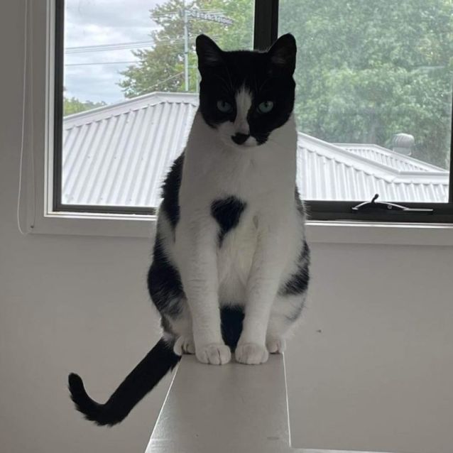 Photo of Esther, Charger & Sprocket