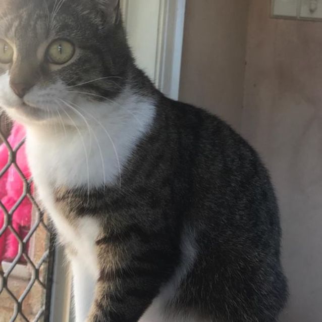 Photo of Mischief