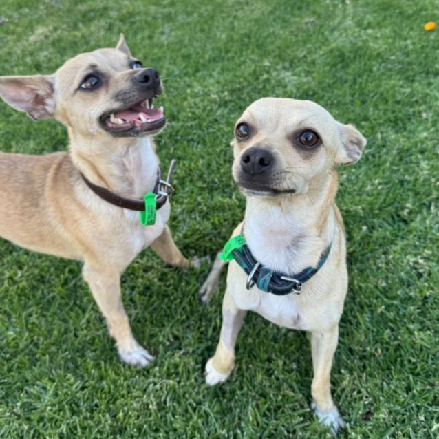 Photo of Wonton & Pancake 