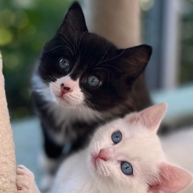 Photo of 🖤 Jonty 🖤