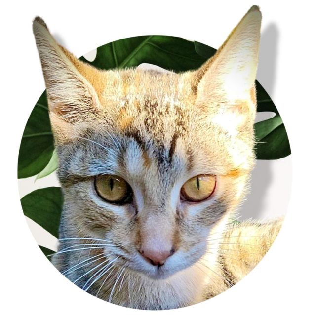 Photo of Lilly