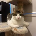 Photo of Oliver
