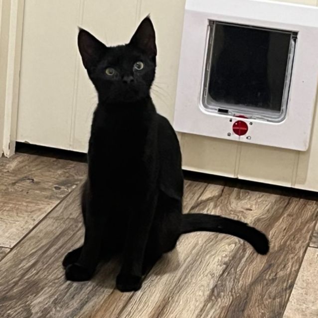 Photo of Roo