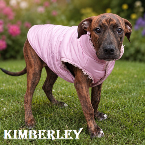 Kimberley
