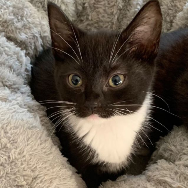 Photo of Melody 🎶💓