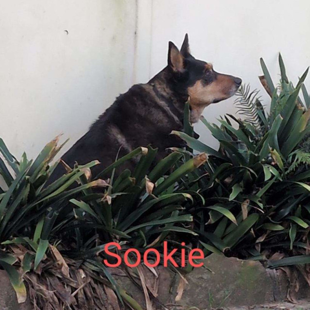 Photo of Sookie And Oz 💕