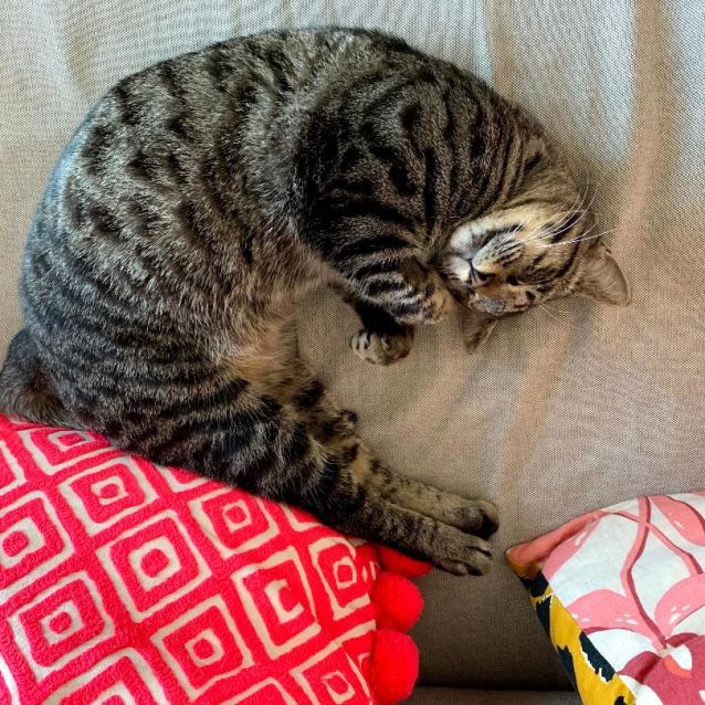 Photo of Norbert