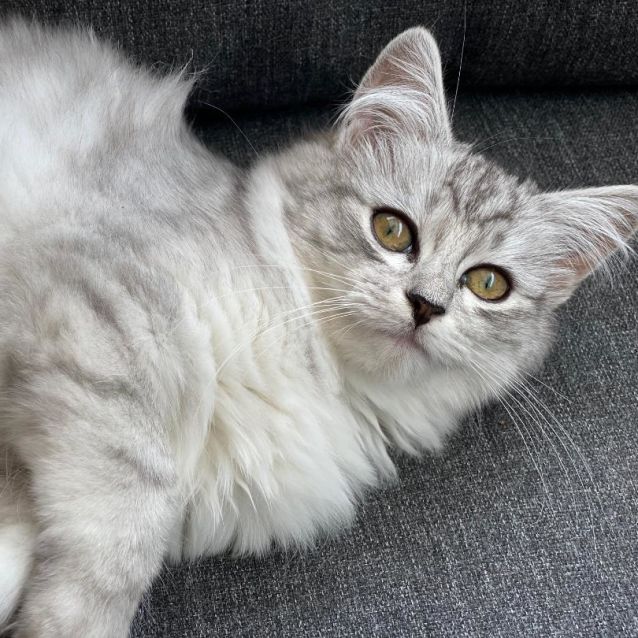 Photo of Esme And Ella