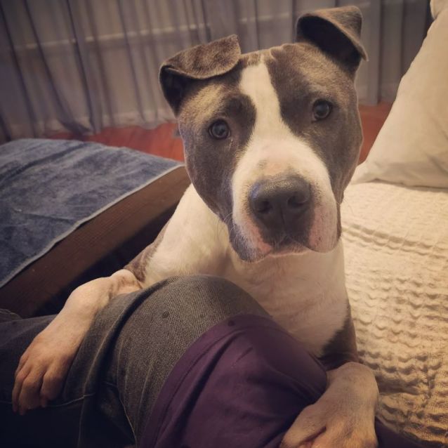 Photo of Stanley