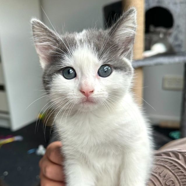 Photo of Nalani 🌸