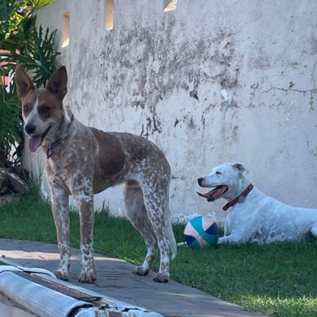 Photo of Michaelangelo Aka Mike 