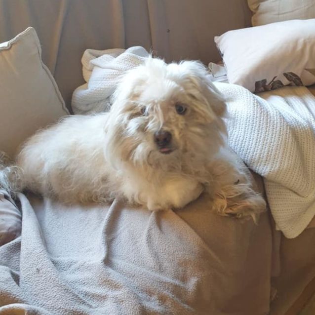 Photo of Sophie Dl2902