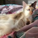 Photo of Skittles