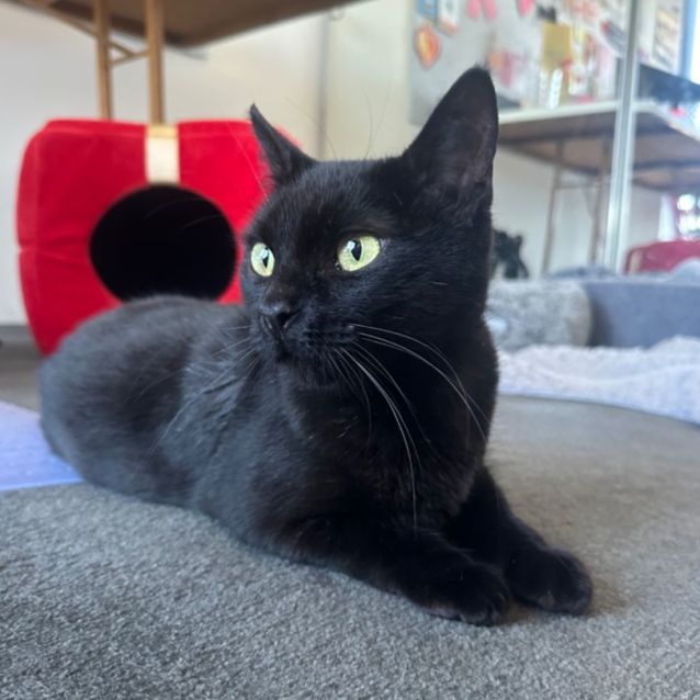 Photo of Lucy 🎀💝🤗